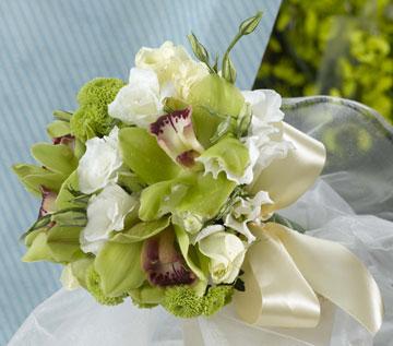 bouquet brisa