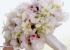 bouquet preston