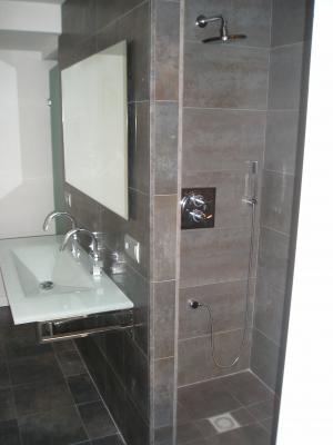 baño porcelanico