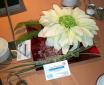 jorge floristas