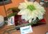 jorge floristas