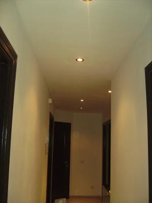 Lacados y pintura