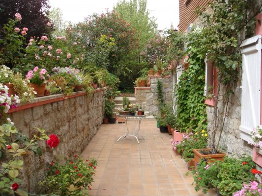 Terraza con plantas de flor