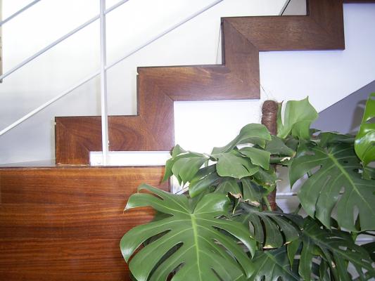 escalera en tarima de iroko