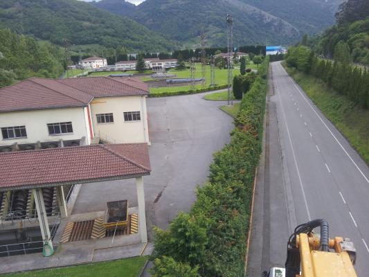 podas/m lineal