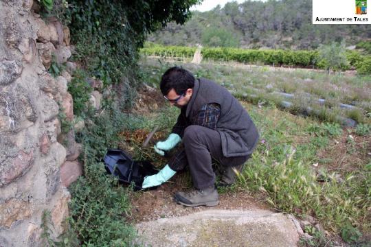 Instalación cebo raticida.