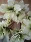 Flores artificiales