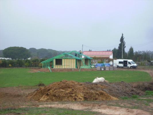 ESTRUCTURA
