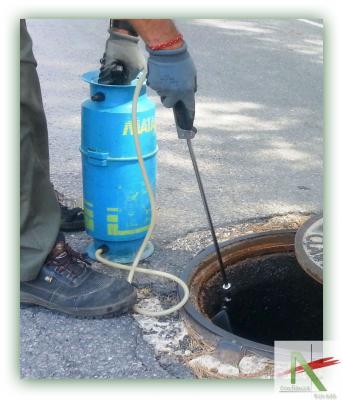 Desinsectación Pulverización