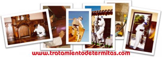 expertos en termitas alicante