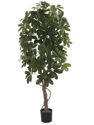 Planta artificial schefflera baby Oasis Decor