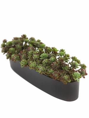 Jardinera plantas crasas artificiales suculent mini Oasis Decor