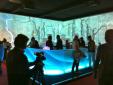 Ambiente con Barra de Bar con iluminación LED control remoto