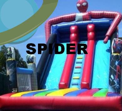 TOBOGAN SPIDER