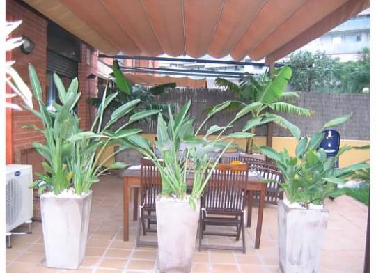 Jardines modernos
