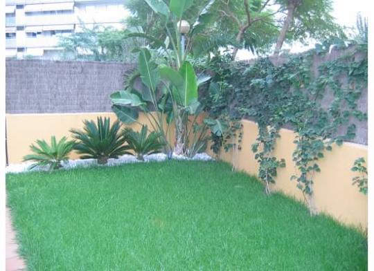 Jardines tropicales