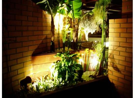 Iluminación exterior