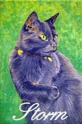 Retrato de gato