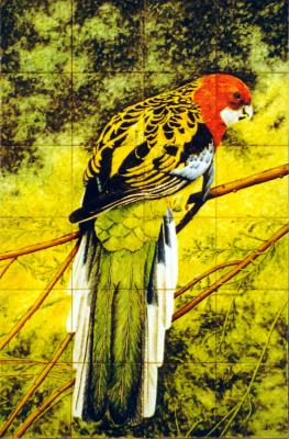 Loro en la Naturaleza