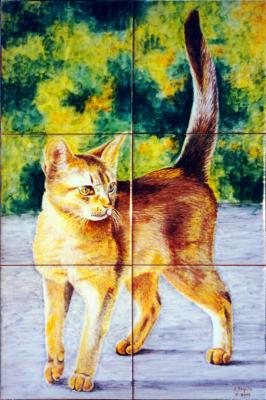 Retrato de gato