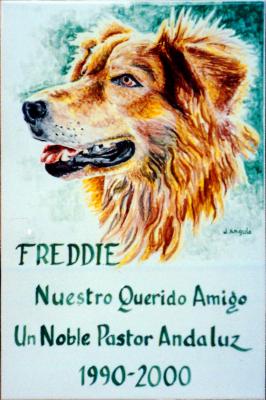Retrato de perro Freddie