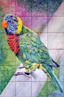 Loro arco iris