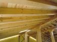 Estructura de Pino Soria