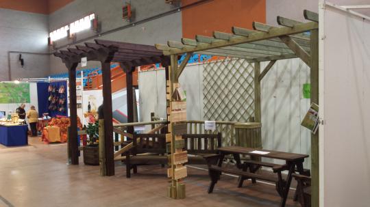 Exposición en feria micológica (3)