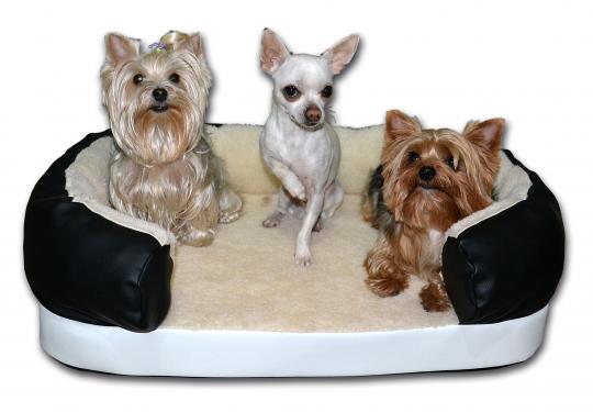 Cama para perros desde 29EUR