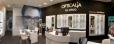 DECORACION DE OPTICALIA 