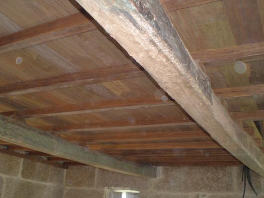 Estructuras: Forjado