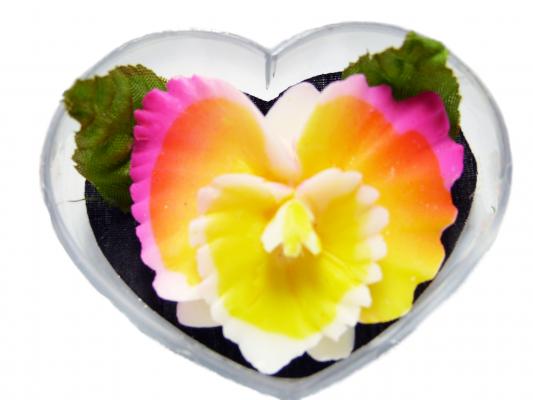 orquidea de jabon