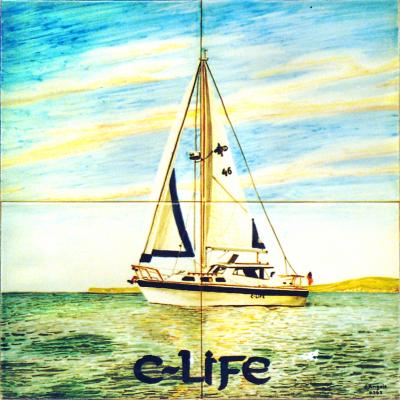 Velero C-Life