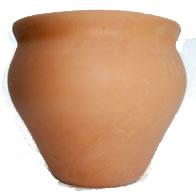COCO DE MAQUINA