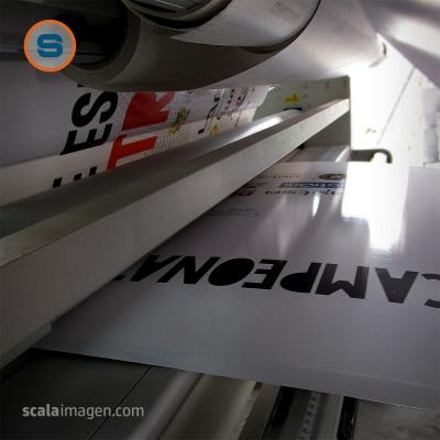 impresión digital de gran formato sobre vinilo polimérico en Lorca, Murcia.scalaimagen.com