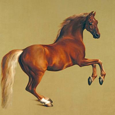 ANIMALES
