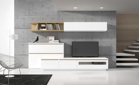 composicion lira 2