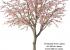 Arbol de Almendro artificial 
