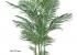 Maceta Areca artificial grande