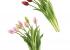 Ramillete de tulipanes artificilaes en varios colores a elegir