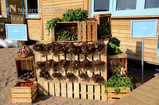 Expositor de verduras biológicas en chiringuito Azembay