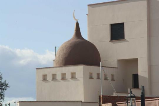 Cupula particular