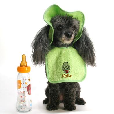 Baberos para mascotas, Rotex2012, S.L.