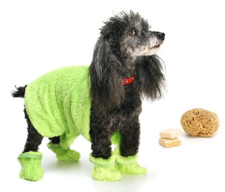 Ropa para perros, Rotex2012, S.L.