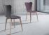Silla de comedor de diseño con respaldo contrachapado curvado en diferentes colores y patas en madera de haya.