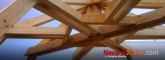 Estructura de madera laminar para cúpula. navarrolivier.com