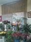 Floristeria Calas CASTUERA 24H