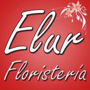 Elur Florister�a - servicio en Urda y Consuegra