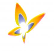 FLAMA DE VIDA HEINZ SPR�NKER, S.L.