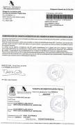 Yesos Ortiz 2010 SCP